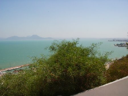 Bellissima vista del porticciolo e del golfo di Tunisi dalla sommit della collina