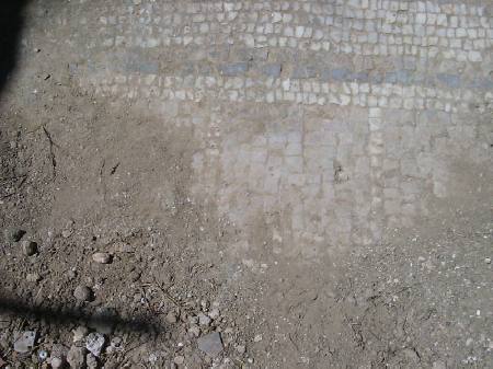 Particolari di un mosaico del pavimento della basilica