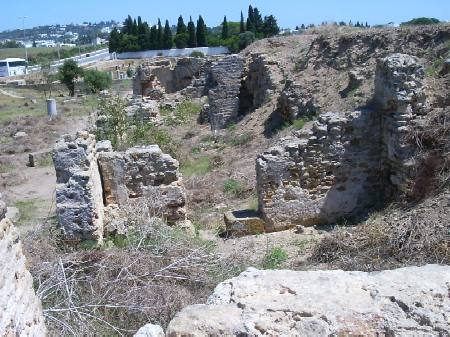 Vista d'insieme dei resti del complesso delle basiliche di Damous-el-Karita