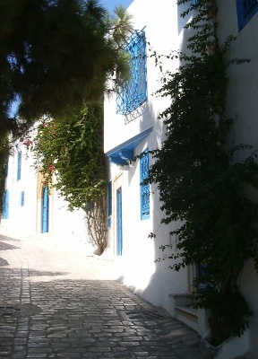 La stretta via di Sidi Abou Said fra case bianche e azzurre che sale verso la sommit della collina