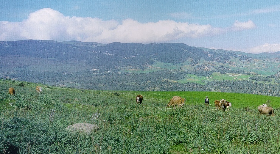 Panorama della campagna e delle montagne attorno a Tagaste
