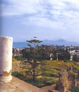 Cartagine: panoramica dalla collina di Birsa