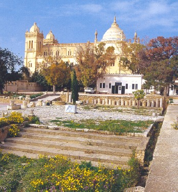 Collina di Birsa: La cattedrale di S. Luigi