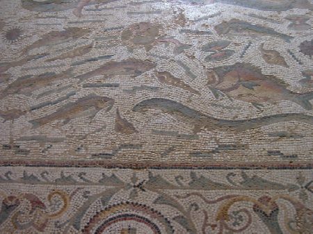 Particolare del mare nel Mosaico di Venere nella Casa di Amphitrite