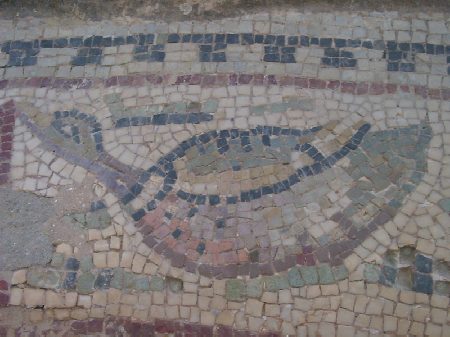Anatra: particolare dei mosaici della vasca della Casa di Amphitrite