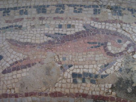Un pesce: particolare del mosaico della vasca della Casa di Amphitrite