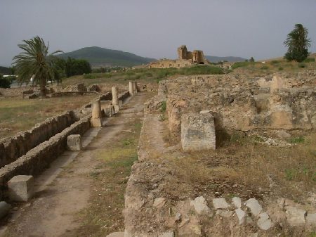 Tempio pagano: colonnato. Sullo sfondo le Terme