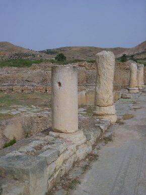 Tempio pagano: colonnato con pavimento a mosaico