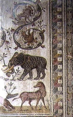 Frammento di pavimento di mosaico che ornava l'oecus della casa detta dei Laberii