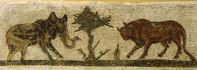 Mosaico che rappresenta, uno di fronte all'altro, davanti a una pianta di ulivo, un toro e un elefante. L'opera  conservata al Museo del Bardo.