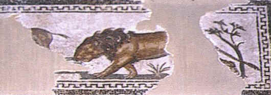 Piccolo pannello con un frammento di mosaico che mostra un leone che insegue un onagro o un mulo. L'opera  conservata al Museo del Bardo.