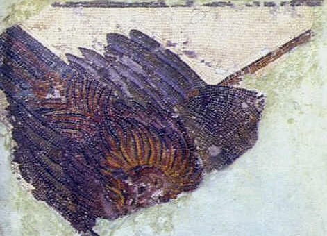 Piccolo pannello con un frammento di mosaico. Si tratta di una decorazione xenia, cio una natura morta. L'opera risale all'inizio del II sec. d. C. ed  conservata al Museo del Bardo.