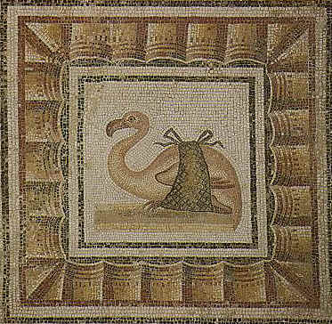 Mosaico che raffigura un fenicottero rosa legato con una stoffa. Questo uccello africano era molto apprezzato dai buongustai per la sua carne delicata. Il reperto  conservato al Museo del Bardo e risale alla fine del II sec. d. C.