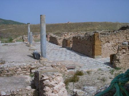 Resti della Casa di Nettuno con la pavimentazione a mosaico