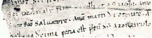 Citazione di sancto Salvatore nella pergamena 4487 del XII secolo