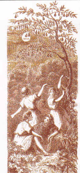 Il furto delle pere, nella pubblicazione francese di in una Vita di sant'Agostino