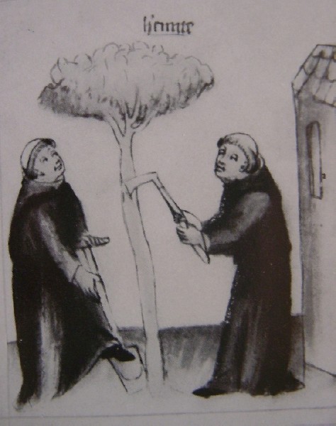 Dopo pranzo i monaci tagliano gli alberi, immagine tratta dalla Historia Augustini