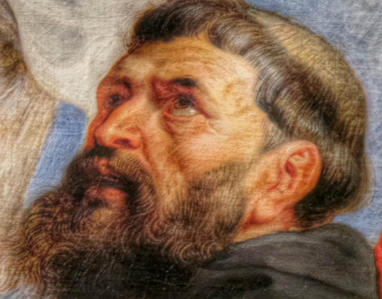 Agostino tra il sangue di Cristo e il latte della Vergine di Peter Paul Rubens: Particolare del volto di Agostino