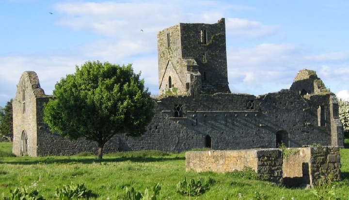 I resti del monastero e della chiesa agostiniana a Callan
