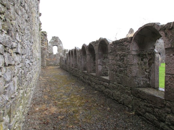 Il complesso monastico di Athassel