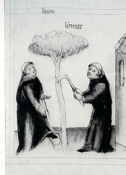 I monaci lavorano e tagliano gli alberi dal manoscritto Historia Augustini, ms. 78A 19a, di Berlino